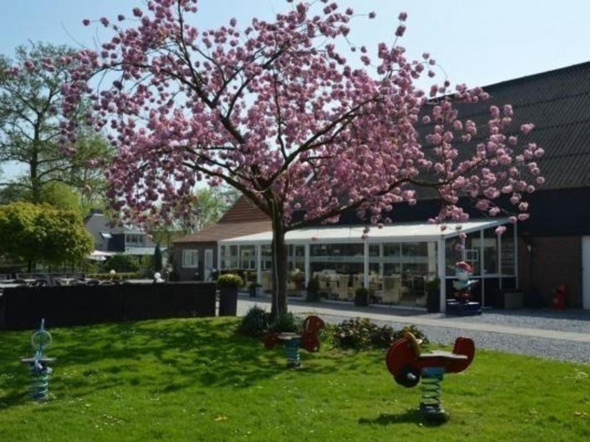 Vakantiehuis In Mit Terrasse